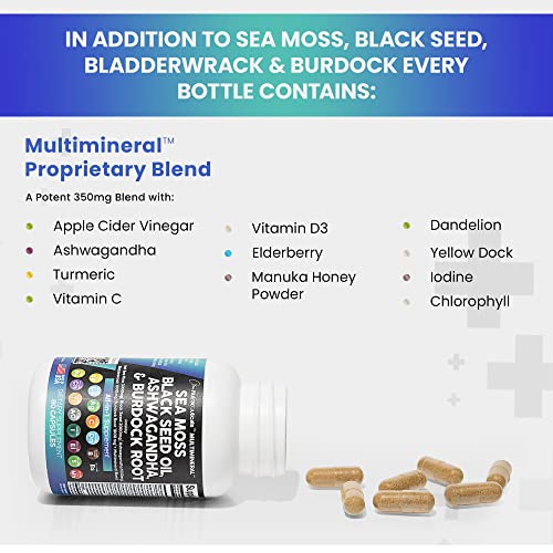 Sea Moss 3000mg Black Seed Oil 2000mg Ashwagandha 1000mg Turmeric 1000mg Bladderwrack 1000mg Burdock 1000mg & Vitamin C & D3 with Elderberry Manuka Dandelion Yellow Dock Iodine Chlorophyll ACV